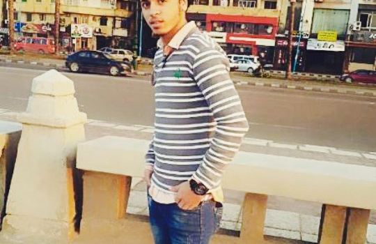 Gannet El Fawakeh