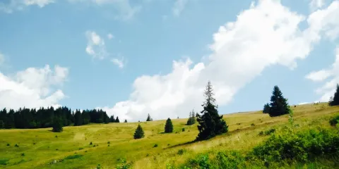 Berggasthaus Zum Krunkelbach