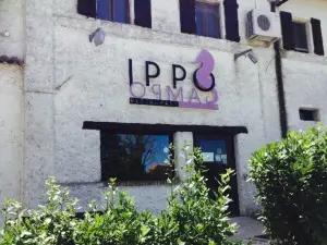 Ippocampo