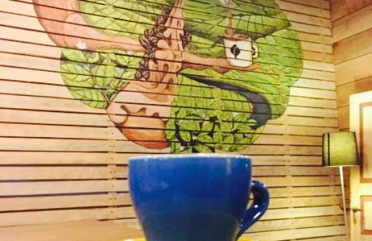 Rimbun Coffee