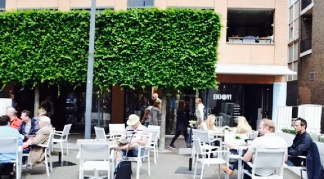 Enjoy frozen yoghurt & things