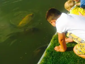 Samuel Barlow Bar & Restaurant