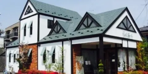 Yougashiten Pui Damuru