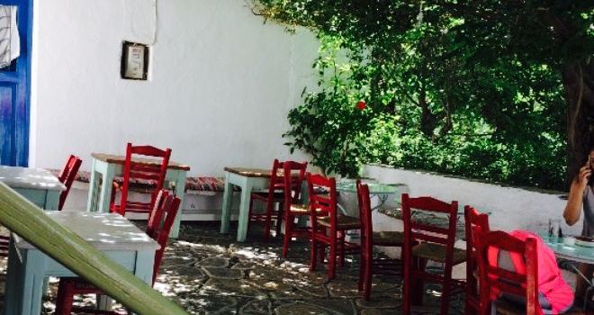 Cafe Lotzia