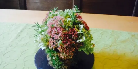 Landgasthaus Forster