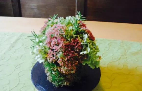 Landgasthaus Forster