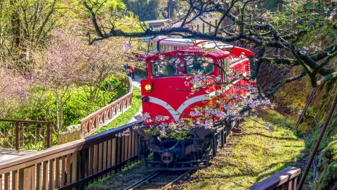 Chiayi travel destination