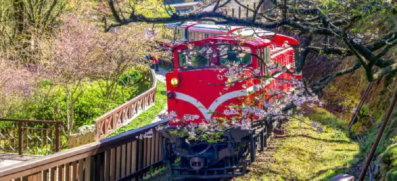 希諾奇台湾桧木博物館周辺のホテル