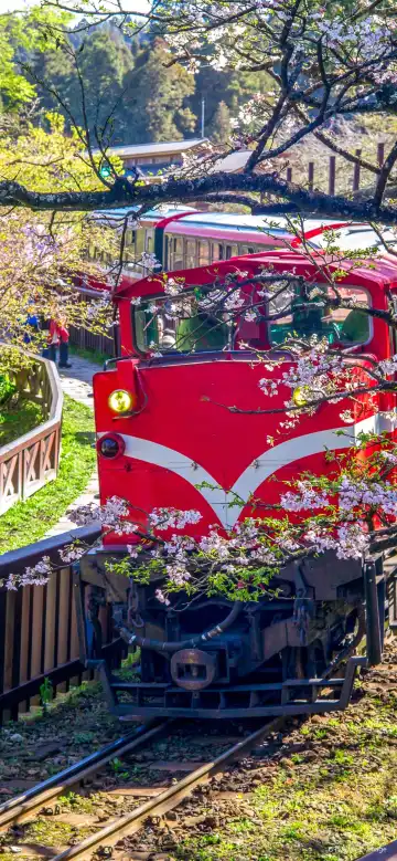 Chiayi Shrine周辺のホテル