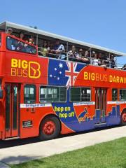 Big Bus Darwin 達爾文隨上隨下觀光巴士