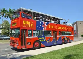 Big Bus Darwin 達爾文隨上隨下觀光巴士