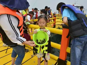 Dongchu Island Scenic Area