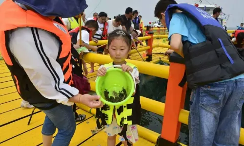 Clam Digging in Weihai