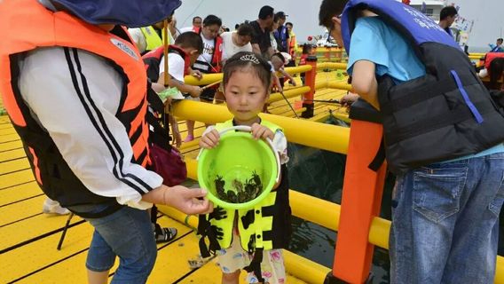 Beachcombing in Weihai