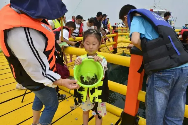 Clam Digging in Weihai