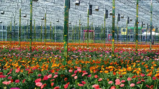 Hotels near Yuntai Garden