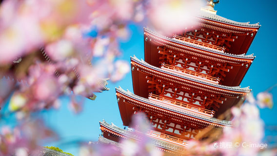東京日遊