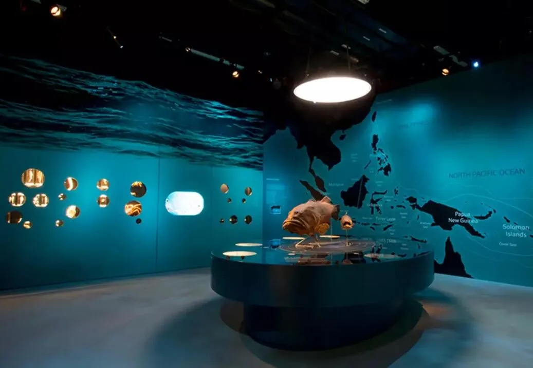 3_李光前自然歷史博物館