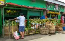 Carbon Market