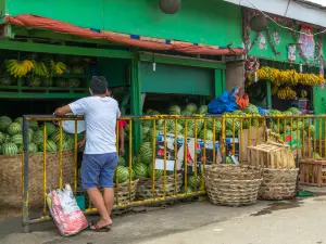 Carbon Market