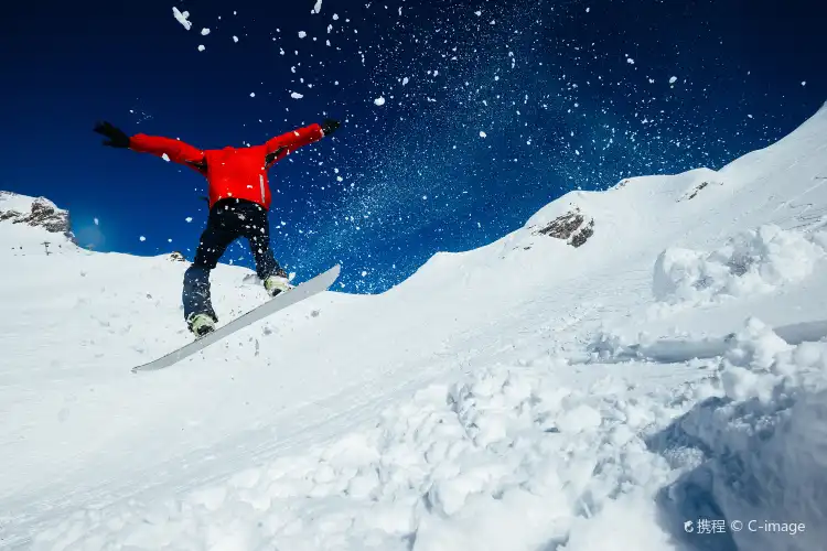 索契植物園附近的飯店