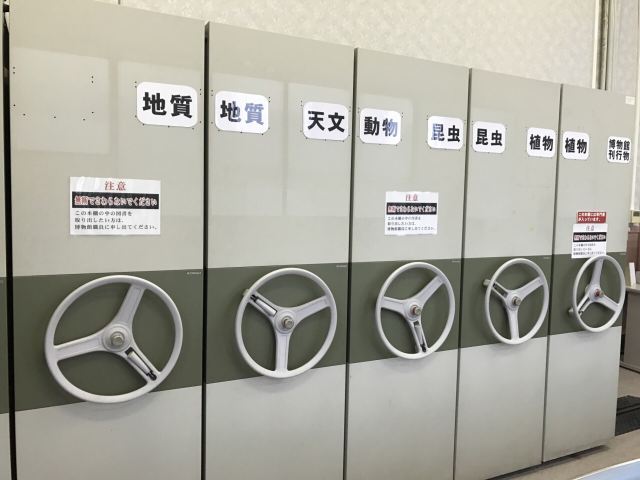 鹿兒島縣立博物館