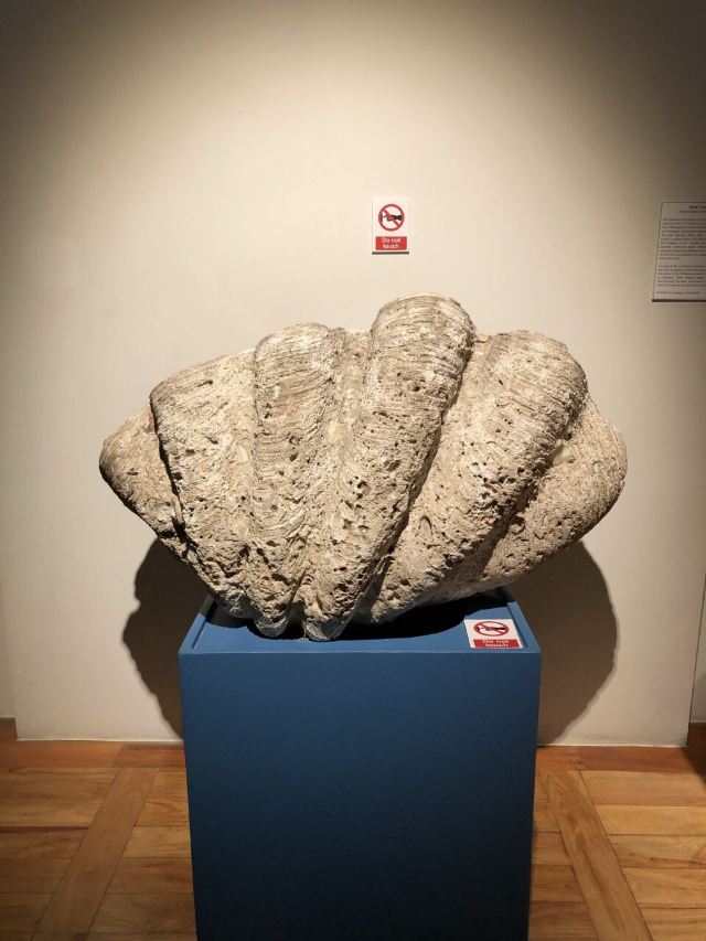국립 박물관