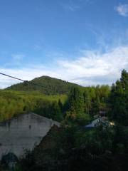 Zeya Scenic Spot—Temple of the Yang Family (Songfeng Line)