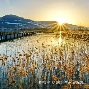 【蘇黎世美食】2026蘇黎世美食餐廳盤點！附當地景點推薦