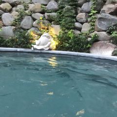 安吉涵田度假村·餐厅 User Photo