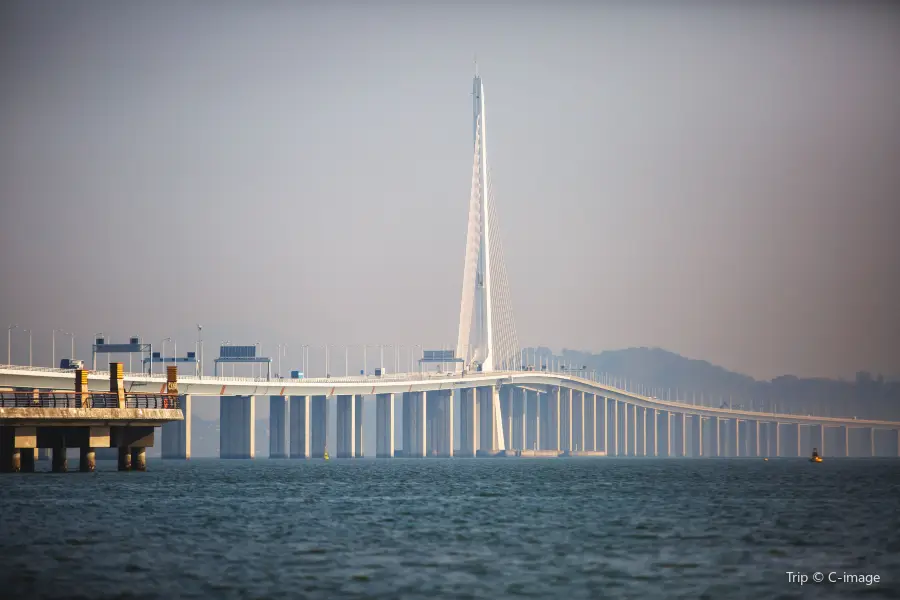 Shenzhen Bay Bridge