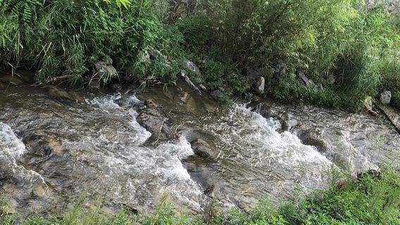 Heilongtan Mijing Drifting