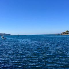 The Oyster Farm Shop 여행 사진