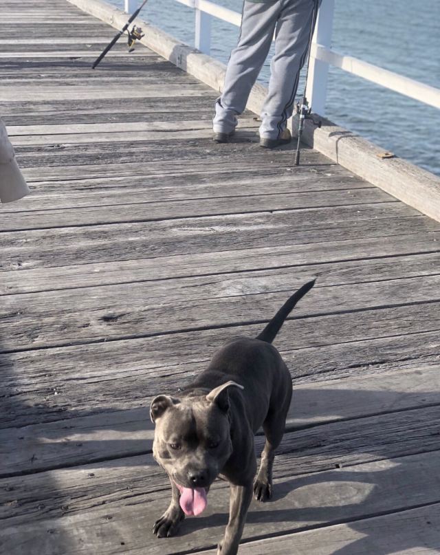 Urangan Pier