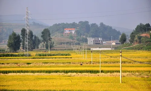 Dongchuan Red Land