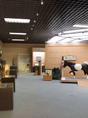 Equine Museum of Japan