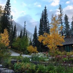 Mount Burgess Dining Room at Emerald Lake Lodge User Photo