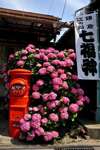 最美的紫陽花海 在6月的日本 好景好味遊記攻略 Trip Com遊玩攻略