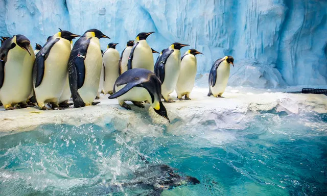 10 Must-see Attractions in Zhuhai