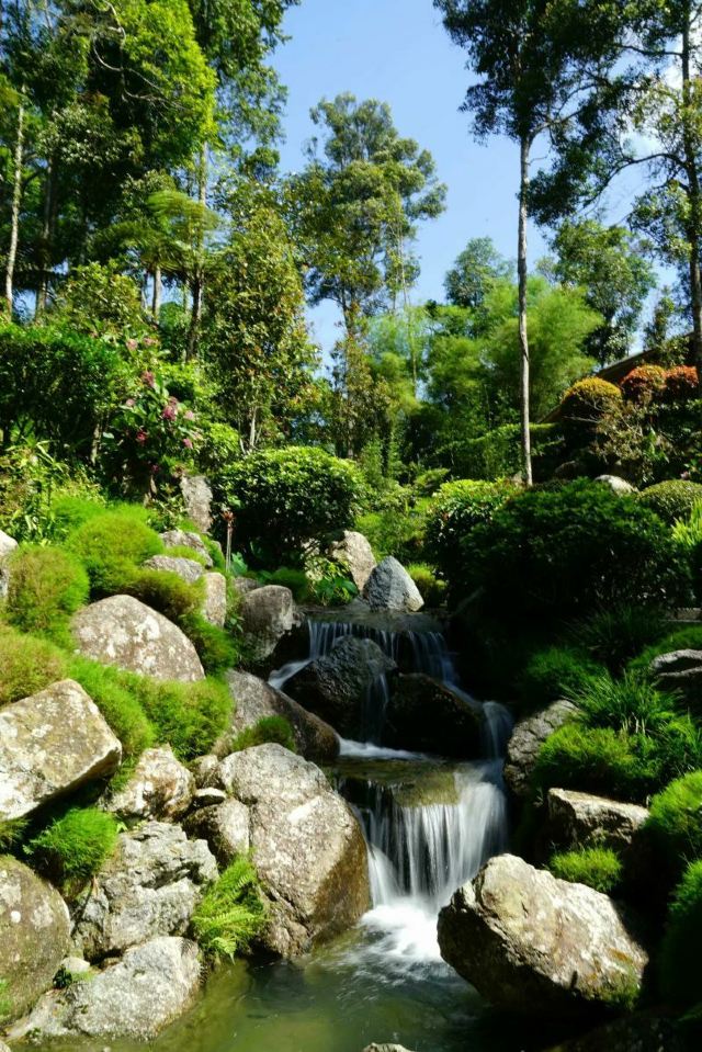 日本村