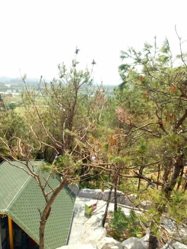 Gaoming Yingxiang Ecological Park
