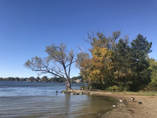 Wilcox Lake