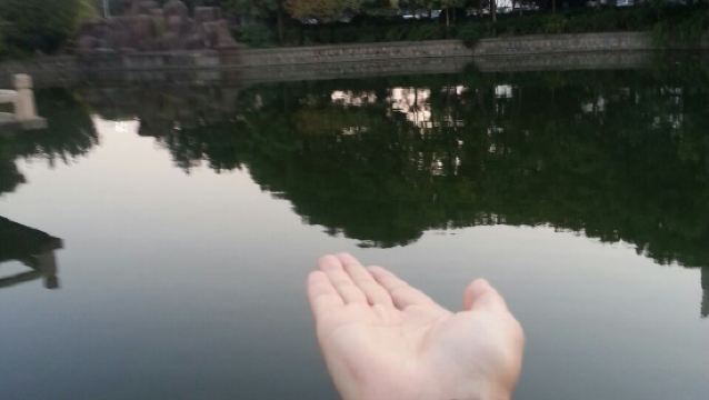 陶板屋 中壢中山店 評論 吃喝玩樂在台灣 Trip Com