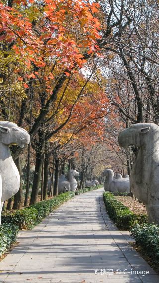 【日本語対応】南京一日：明孝陵と中山陵・南京博物院・中華門城壁・夫子廟・秦淮河夜景など  ＜日本語ガイド／南京南駅送迎＞