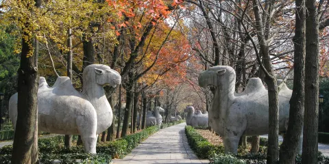 南京鐘山風景區|音樂台+中山陵景區+明孝陵+美齡宮+陵園路一日遊