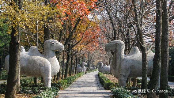 Nanjing Day Tour|Sun Yat-sen Mausoleum, Ming Xiaoling Mausoleum, Meiling Palace (Private or group tour available)