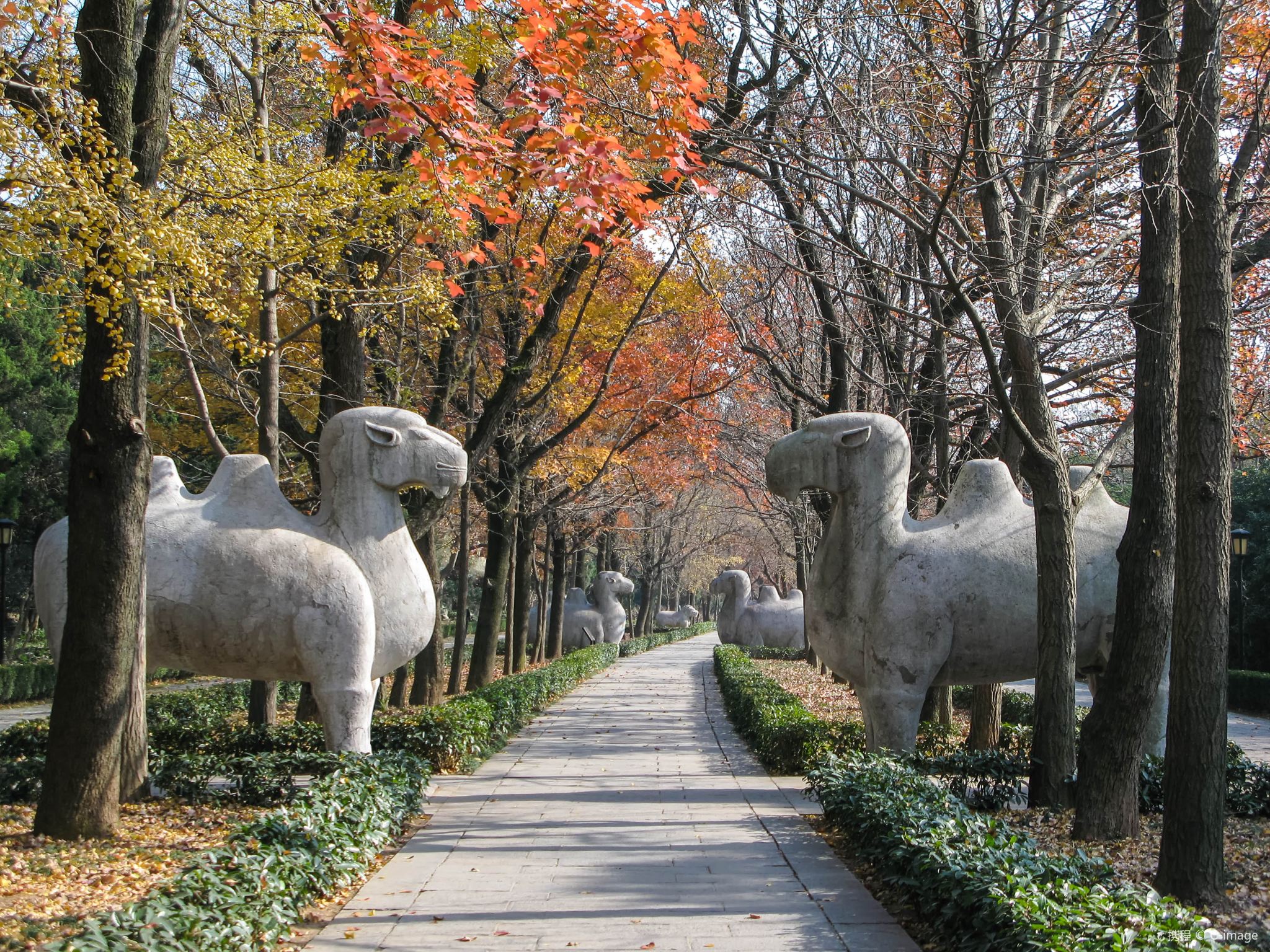 明孝陵と中山陵・南京博物院・中華門城壁・夫子廟・秦淮河夜景など一日観光 　昼食付き＜日本語ガイド／ホテル送迎／1名出発＞