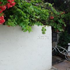 Inu Cafe User Photo