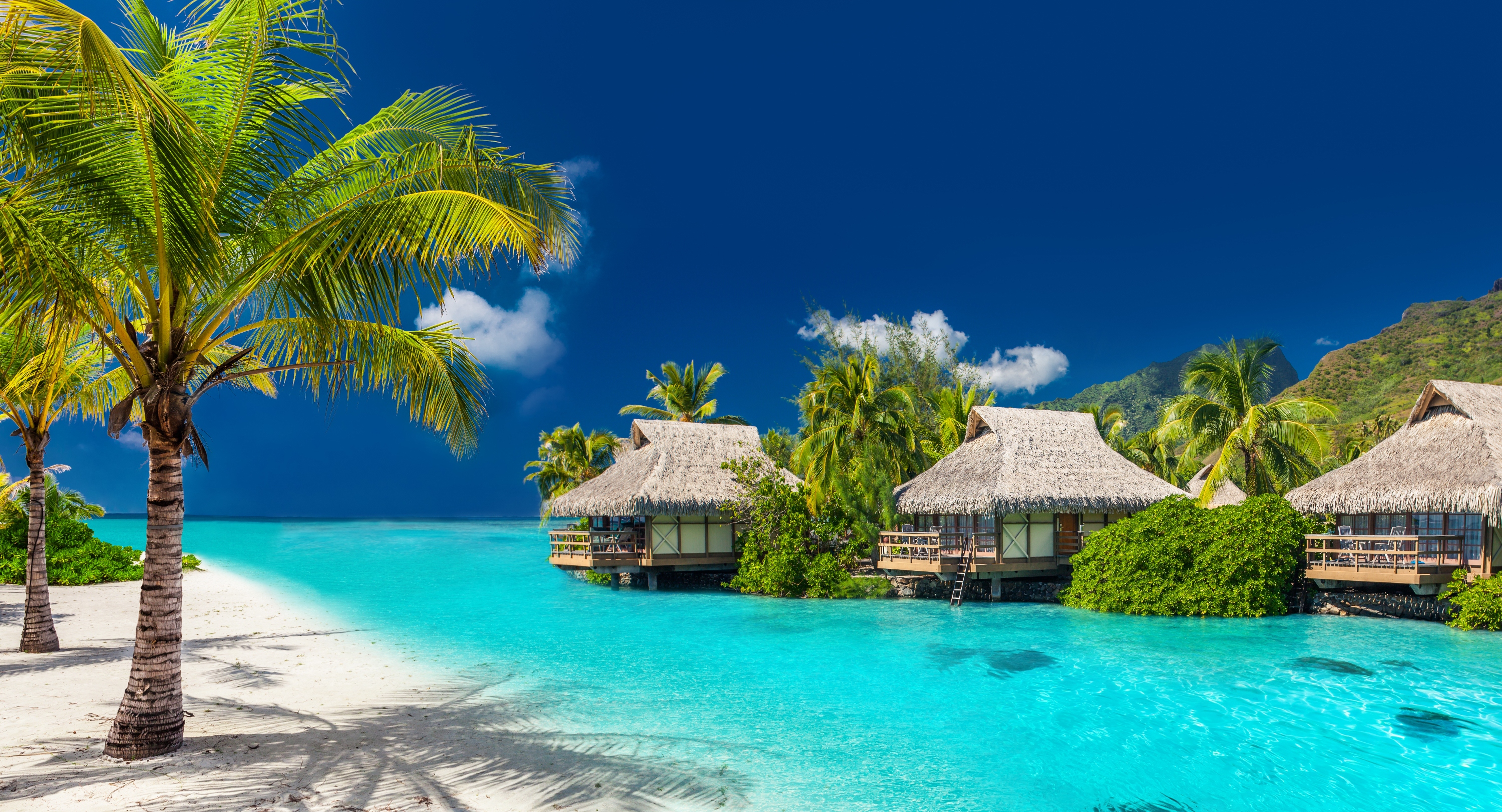 2025 Koh Phangan Travel Guide: Must-see attractions, popular food, hotels, transportation routes (updated in June)