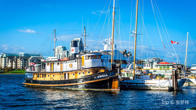 Victoria Harbour Ferry